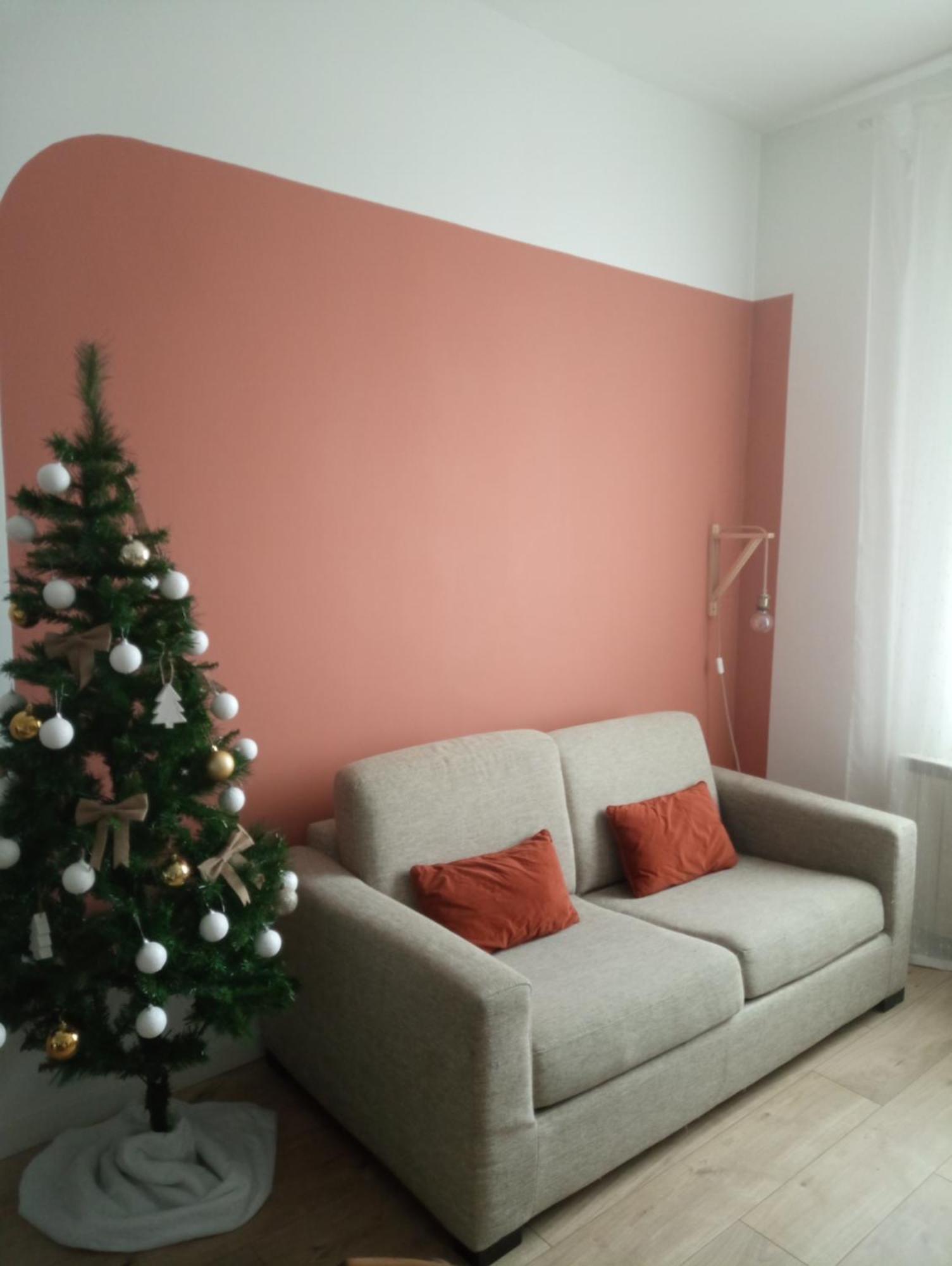 La Maison De Camille Climatisation Parking Prive Wifi Carcassonne Exterior foto